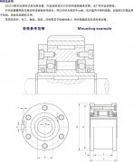 GCZ-B滚柱式单向离合器