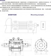 ECKZ楔块式单向离合器