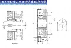 DLYH 失电牙嵌式电磁离合器